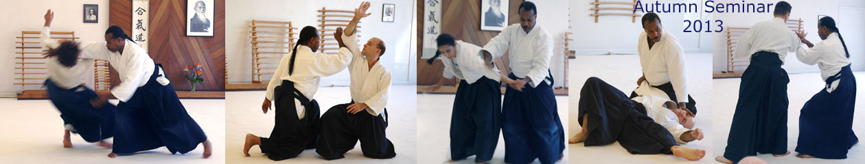 Twin Cities Aikido Center