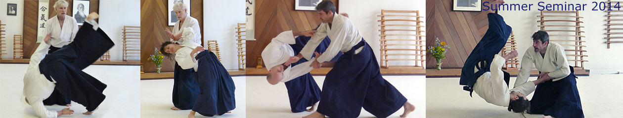 Twin Cities Aikido Center